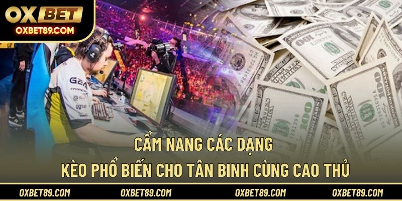 Cẩm nang các dạng kèo phổ biến cho tân binh cùng cao thủ