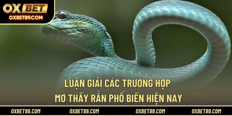 Luận giải các trường hợp mơ thấy rắn phổ biến hiện nay