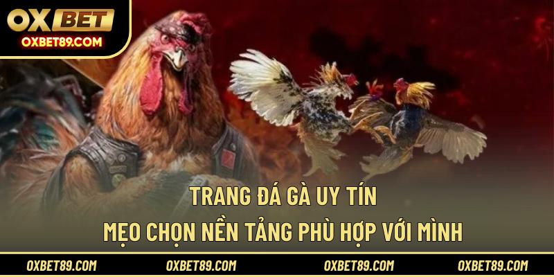Trang đá gà uy tín